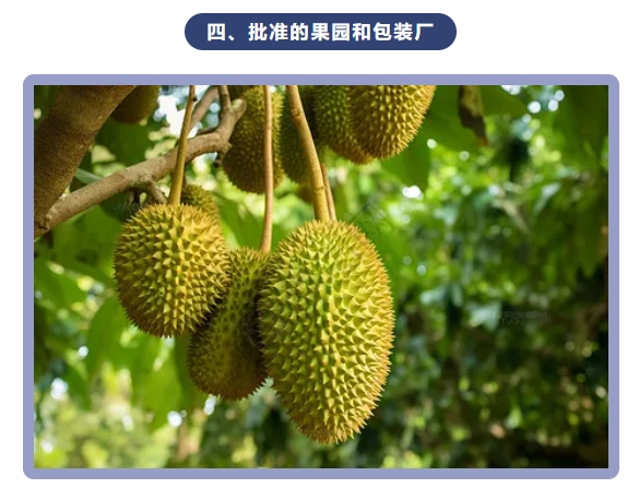 微信截图_20240715101645.png 微信截图_20240715101645.png