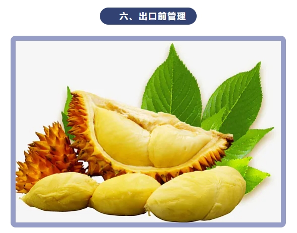 微信截图_20240715101820.png 微信截图_20240715101820.png