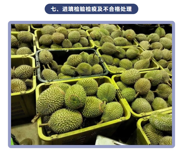 微信截图_20240715102300.png 微信截图_20240715102300.png